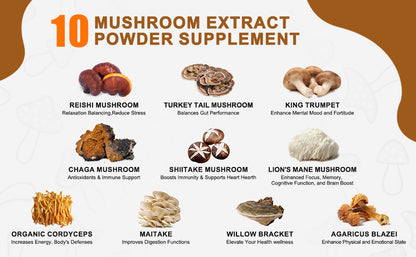 10 Mushroom Extract Coffee™